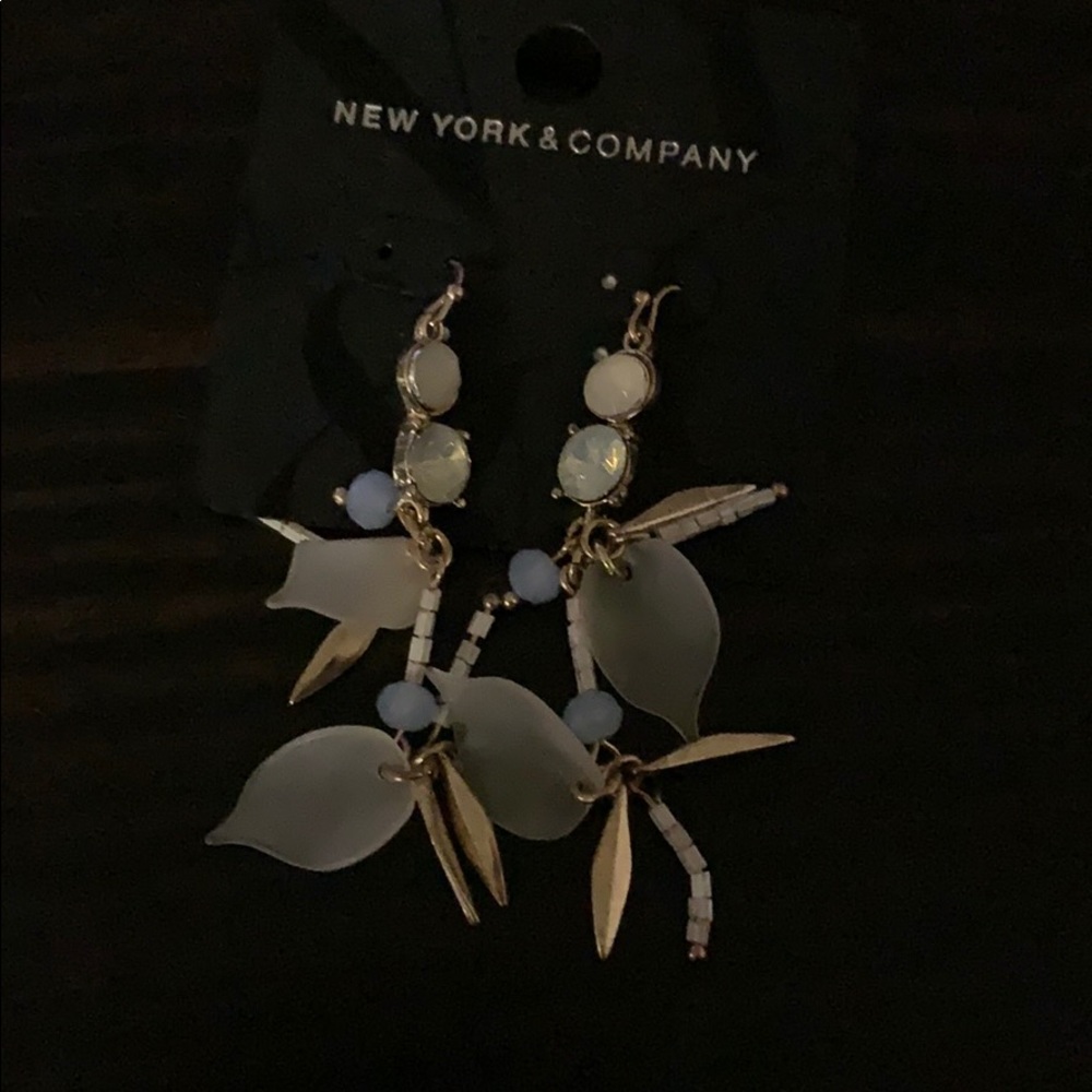 Women’s earrings